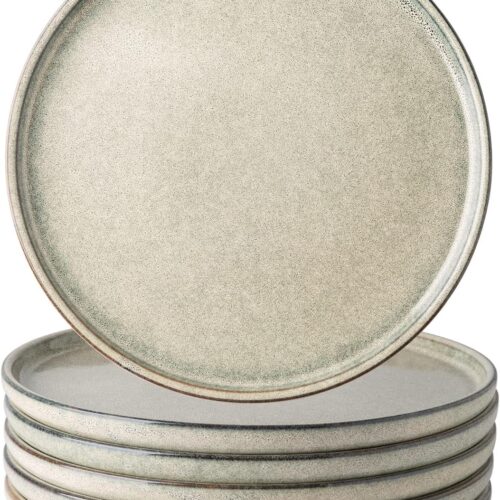 AmorArc Dinner Plates Set of 6, 10.5 Inch Reactive Glaze Ceramic Plates Set, Microwave, Dishwasher Safe, Scratch Resistant, Modern Large Dinnerware Dishes Set Kitchen Stoneware Plates
